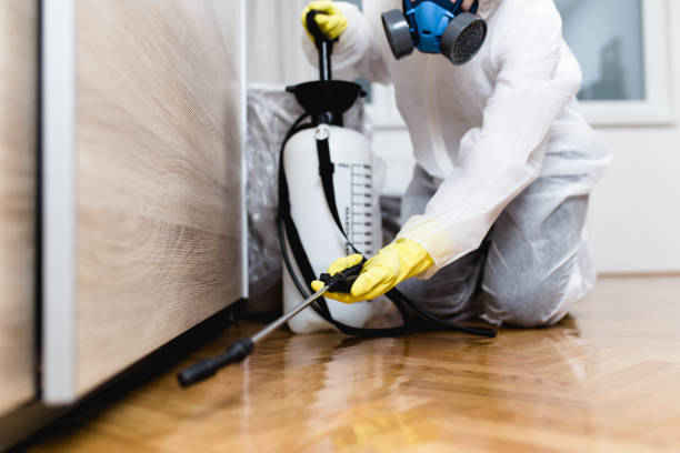 Best Residential Pest Control  in Big Pine Key, FL