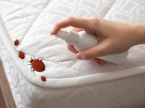 Pest Control Cost in Big Pine Key, FL